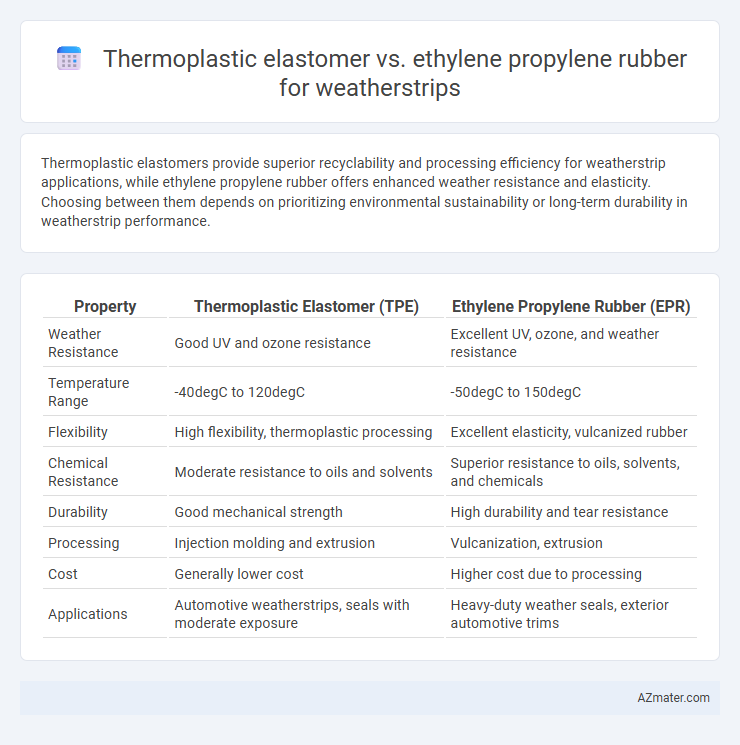 Thermoplastic elastomer vs. ethylene propylene rubber for weatherstrips - What is The Difference?