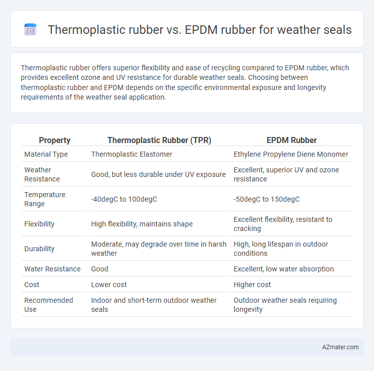 Thermoplastic rubber vs. EPDM rubber for weather seals - What is The Difference?