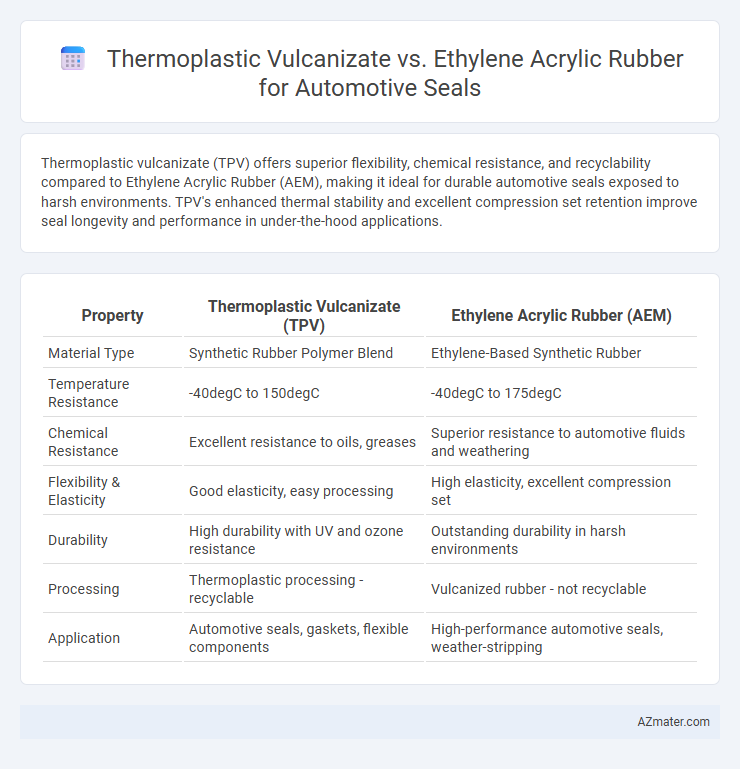 Thermoplastic Vulcanizate vs. Ethylene Acrylic Rubber for Automotive Seals - What is The Difference?