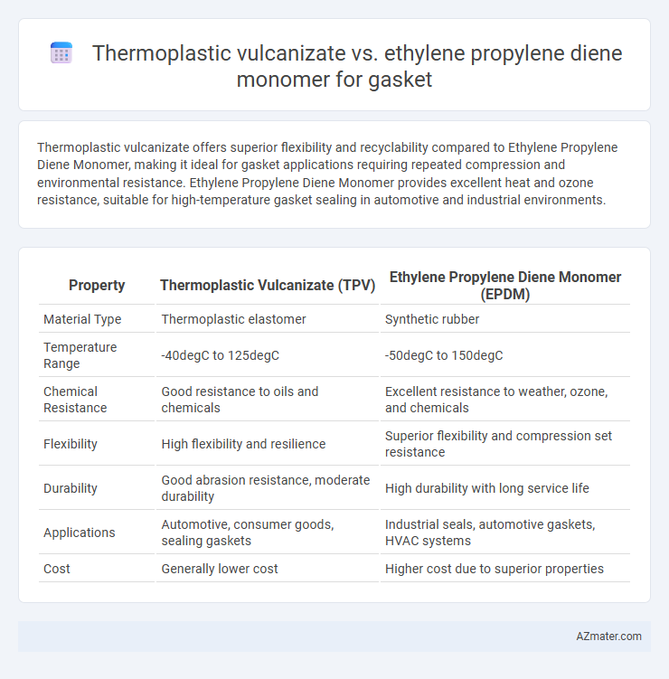 Thermoplastic vulcanizate vs. ethylene propylene diene monomer for gasket - What is The Difference?