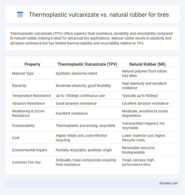 Thermoplastic vulcanizate vs. natural rubber for tires - What is The Difference?