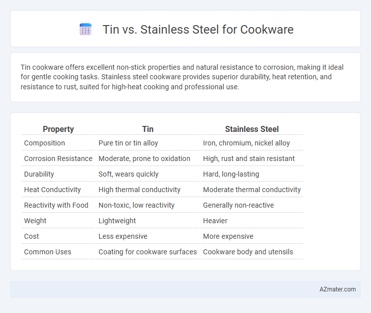Tin vs. Stainless Steel for Cookware - What is The Difference?