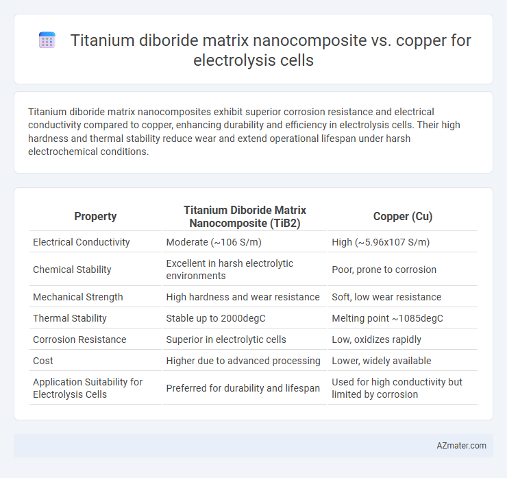 Titanium diboride matrix nanocomposite vs. copper for electrolysis cells - What is The Difference?