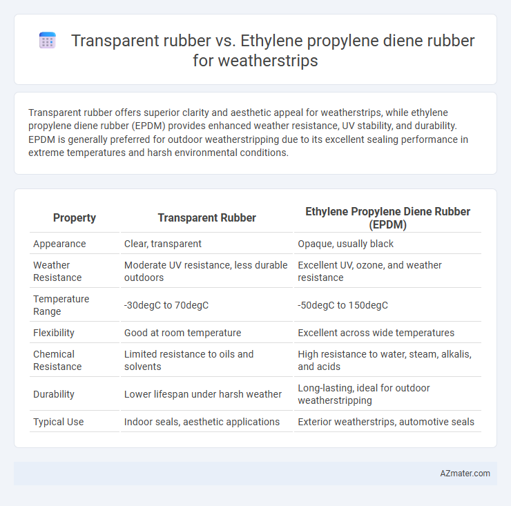 Transparent rubber vs. Ethylene propylene diene rubber for weatherstrips - What is The Difference?