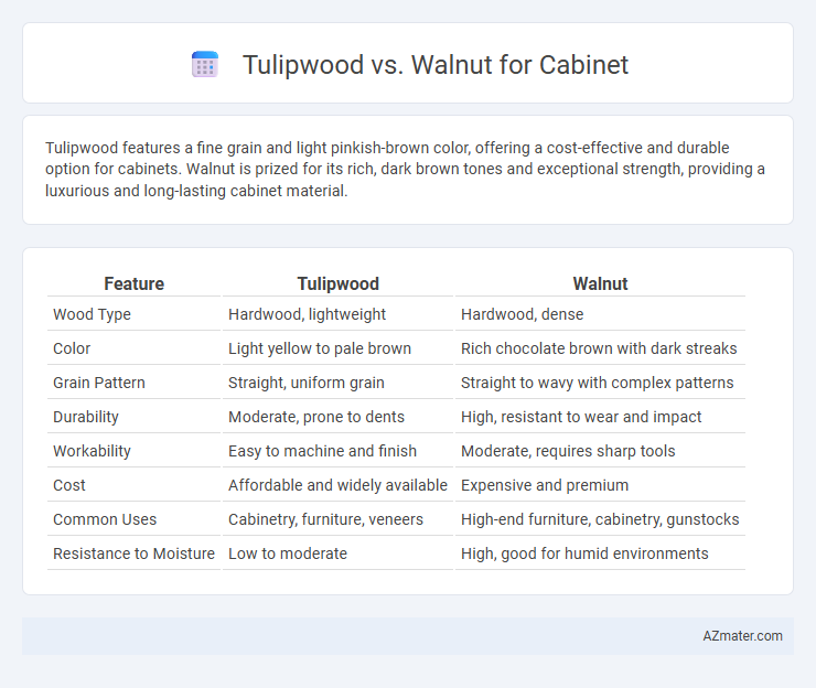 Tulipwood vs. Walnut for Cabinet - What is The Difference?