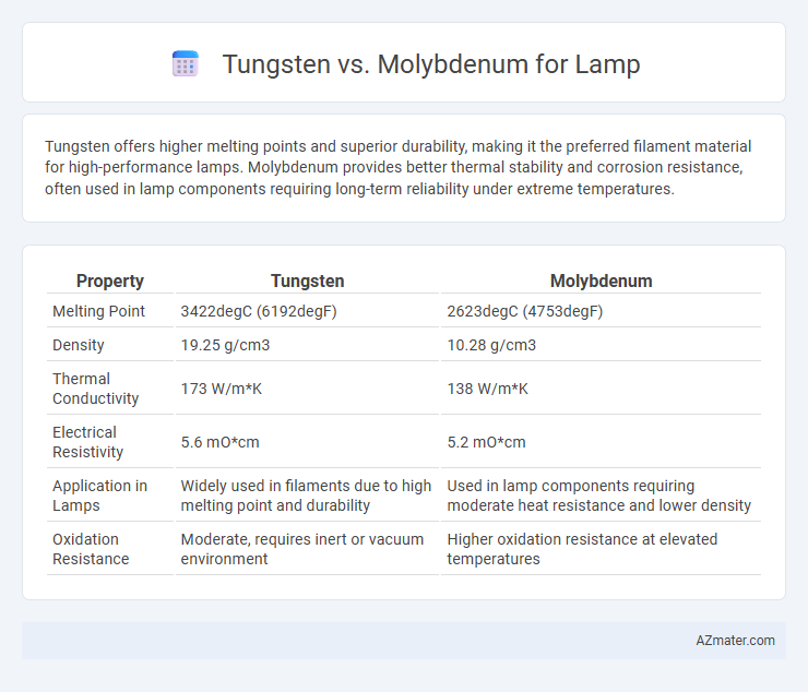 Tungsten vs. Molybdenum for Lamp - What is The Difference?