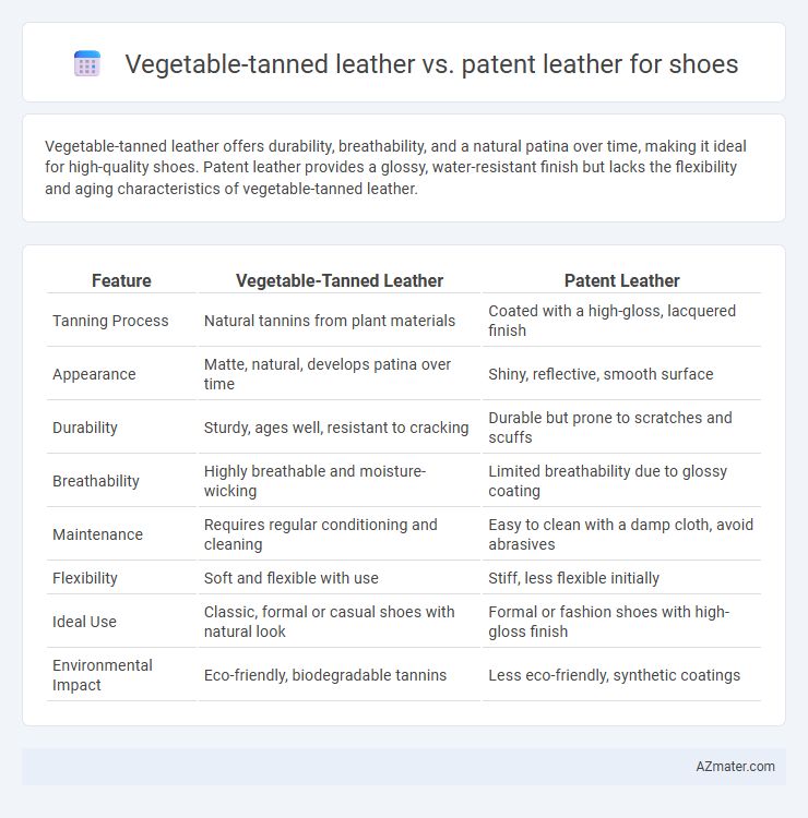 Vegetable-tanned leather vs. patent leather for shoes - What is The Difference?