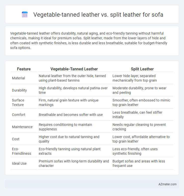 Vegetable-tanned leather vs. split leather for sofa - What is The Difference?