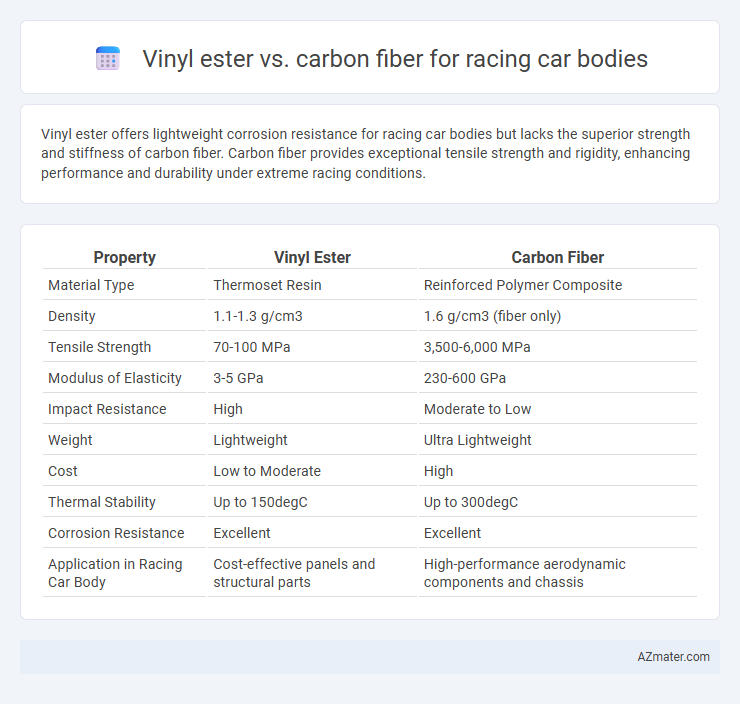 Vinyl ester vs. carbon fiber for racing car bodies - What is The Difference?