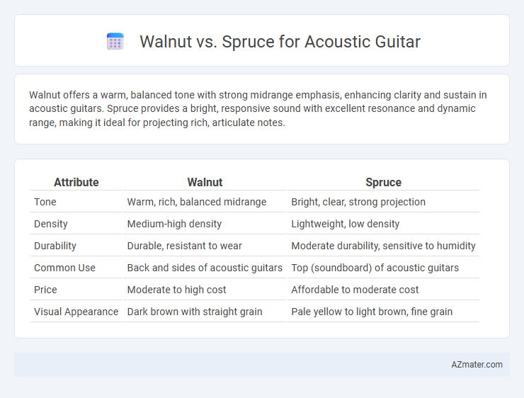 Walnut vs. Spruce for Acoustic Guitar - What is The Difference?