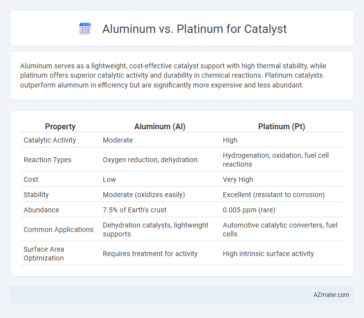 Aluminum vs. Platinum for Catalyst - What is The Difference?