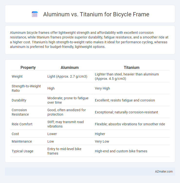 Aluminum vs. Titanium for Bicycle Frame - What is The Difference?