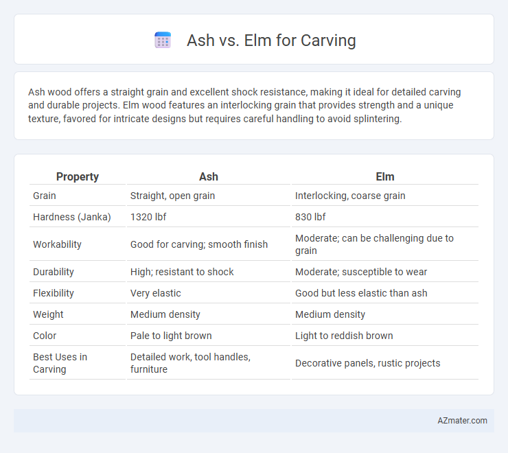 Ash vs. Elm for Carving - What is The Difference?