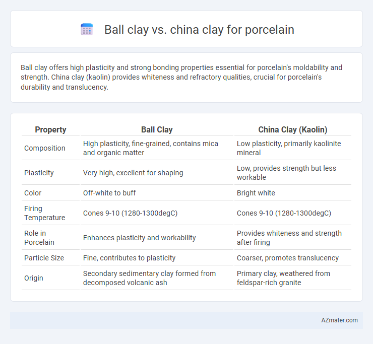 Ball clay vs. china clay for porcelain - What is The Difference?