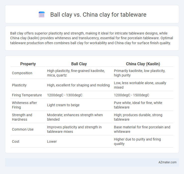 Ball clay vs. China clay for tableware - What is The Difference?