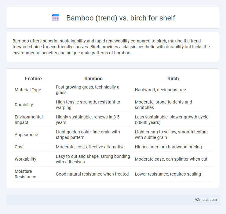 Bamboo (trend) vs. birch for shelf - What is The Difference?