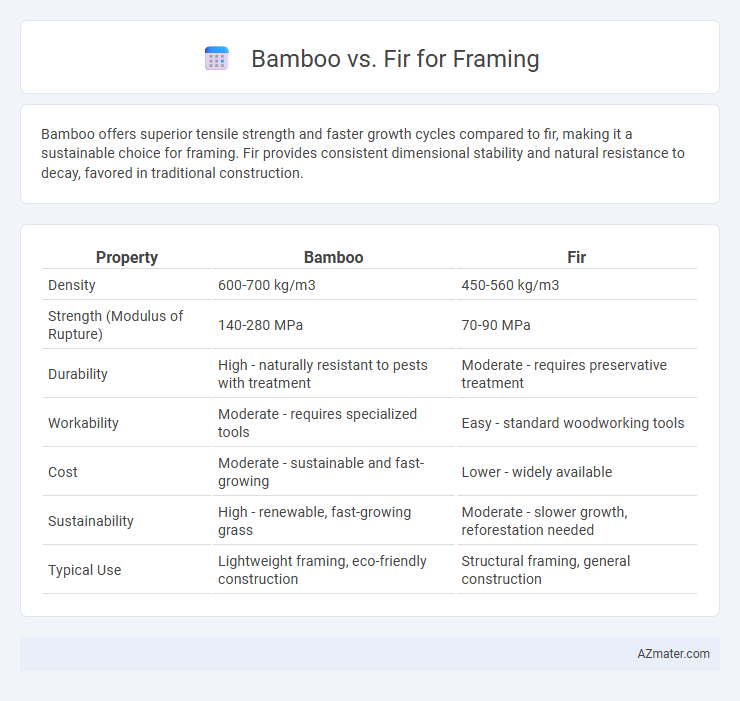 Bamboo vs. Fir for Framing - What is The Difference?