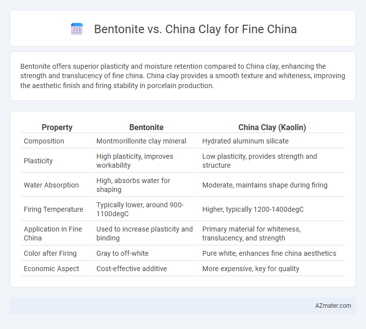 Bentonite vs. China Clay for Fine China - What is The Difference?