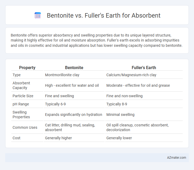 Bentonite vs. Fuller's Earth for Absorbent - What is The Difference?