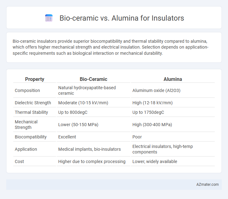 Bio-ceramic vs. Alumina for Insulators - What is The Difference?