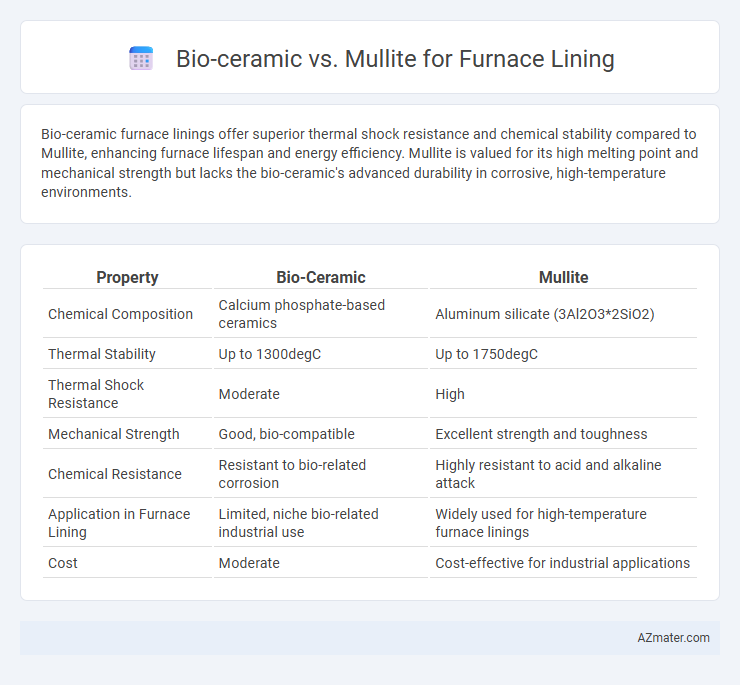 Bio-ceramic vs. Mullite for Furnace Lining - What is The Difference?