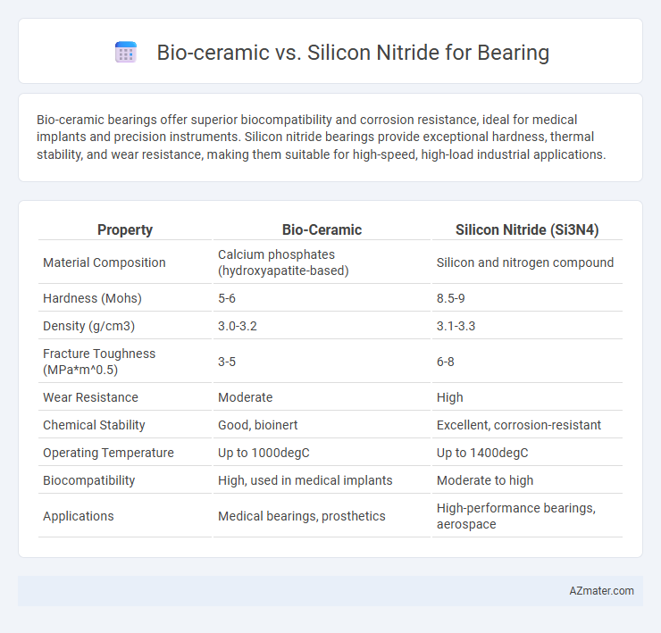 Bio-ceramic vs. Silicon Nitride for Bearing - What is The Difference?