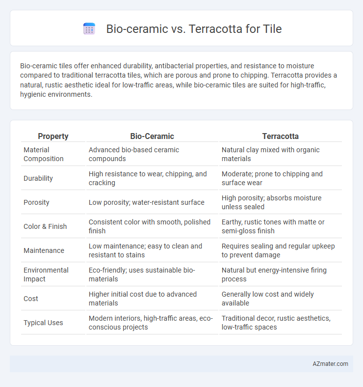 Bio-ceramic vs. Terracotta for Tile - What is The Difference?