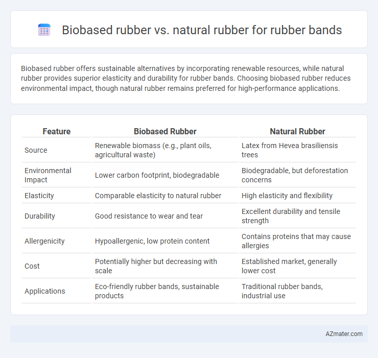 Biobased rubber vs. natural rubber for rubber bands - What is The Difference?
