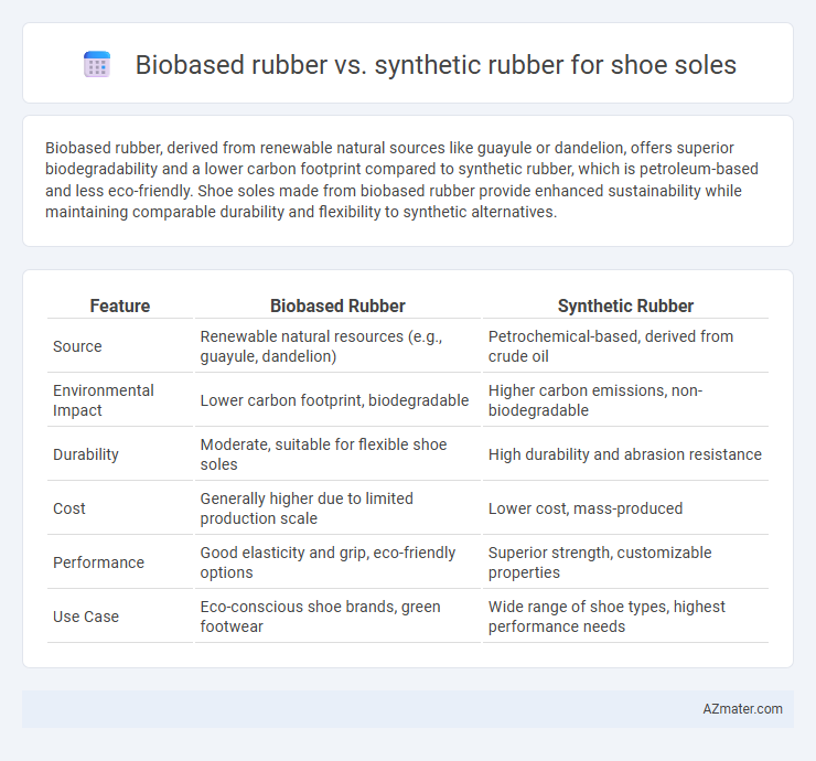 Biobased rubber vs. synthetic rubber for shoe soles - What is The Difference?