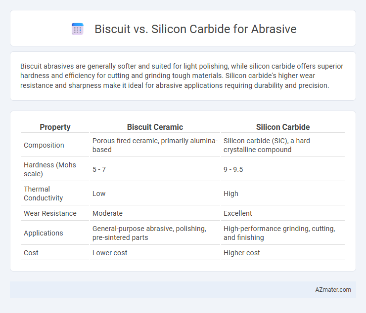 Biscuit vs. Silicon Carbide for Abrasive - What is The Difference?