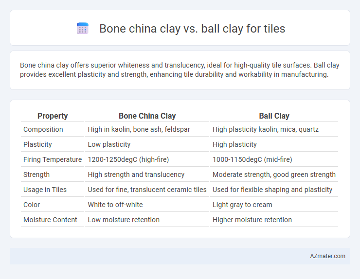 Bone china clay vs. ball clay for tiles - What is The Difference?
