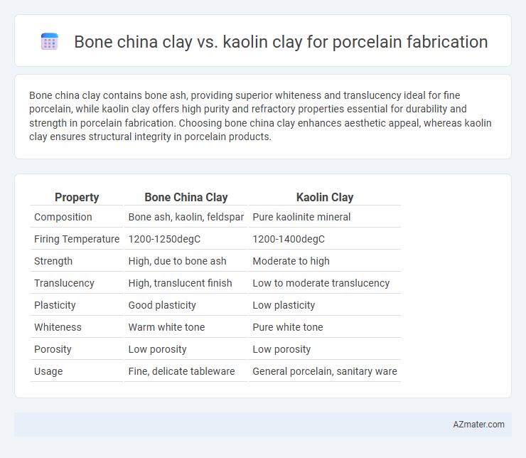 Bone china clay vs. kaolin clay for porcelain fabrication - What is The Difference?