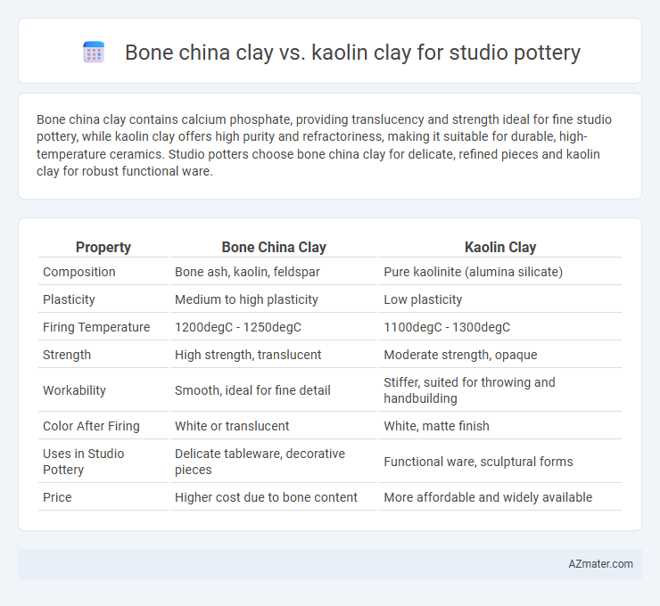 Bone china clay vs. kaolin clay for studio pottery - What is The Difference?