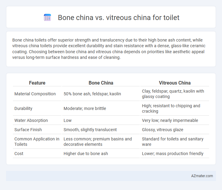 Bone china vs. vitreous china for toilet - What is The Difference?