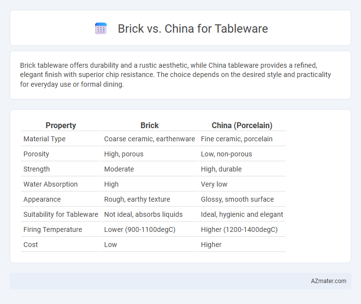Brick vs. China for Tableware - What is The Difference?