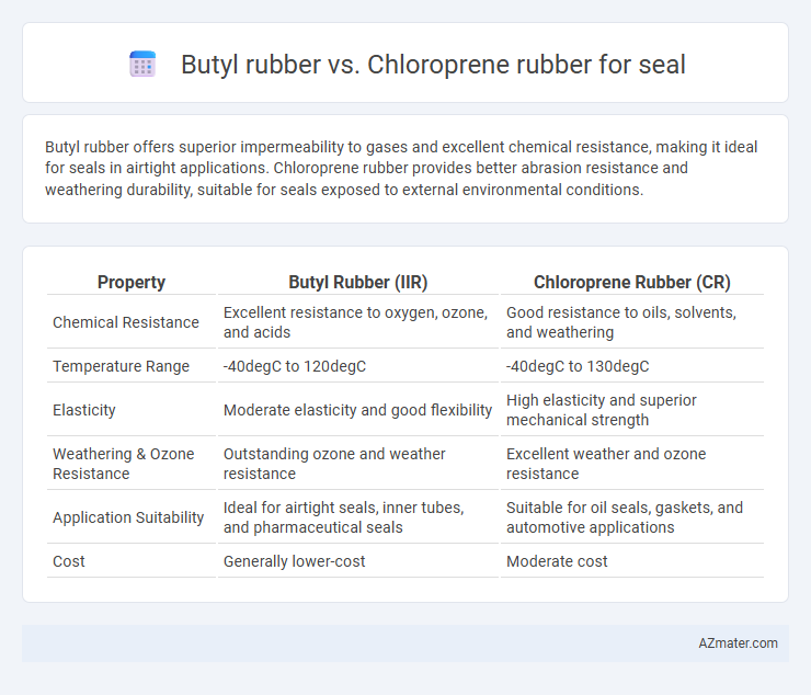 Butyl rubber vs. Chloroprene rubber for seal - What is The Difference?