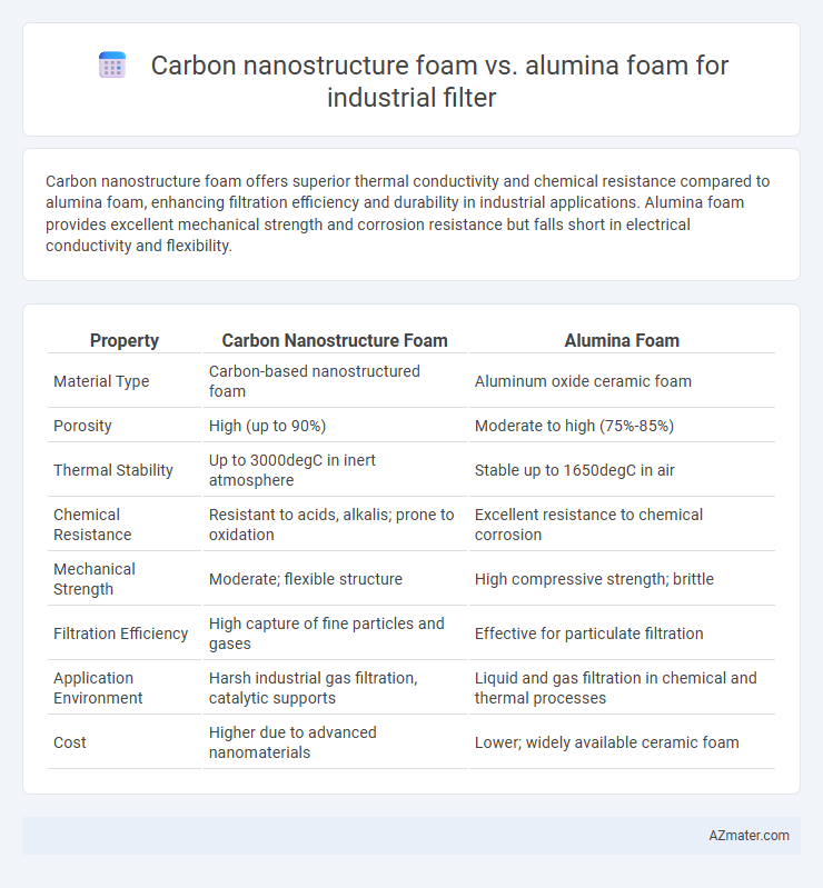 Carbon nanostructure foam vs. alumina foam for industrial filter - What is The Difference?