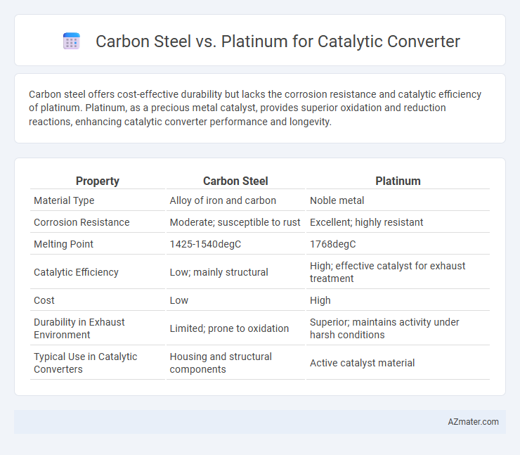 Carbon Steel vs. Platinum for Catalytic Converter - What is The Difference?