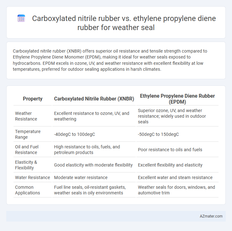 Carboxylated nitrile rubber vs. ethylene propylene diene rubber for weather seal - What is The Difference?