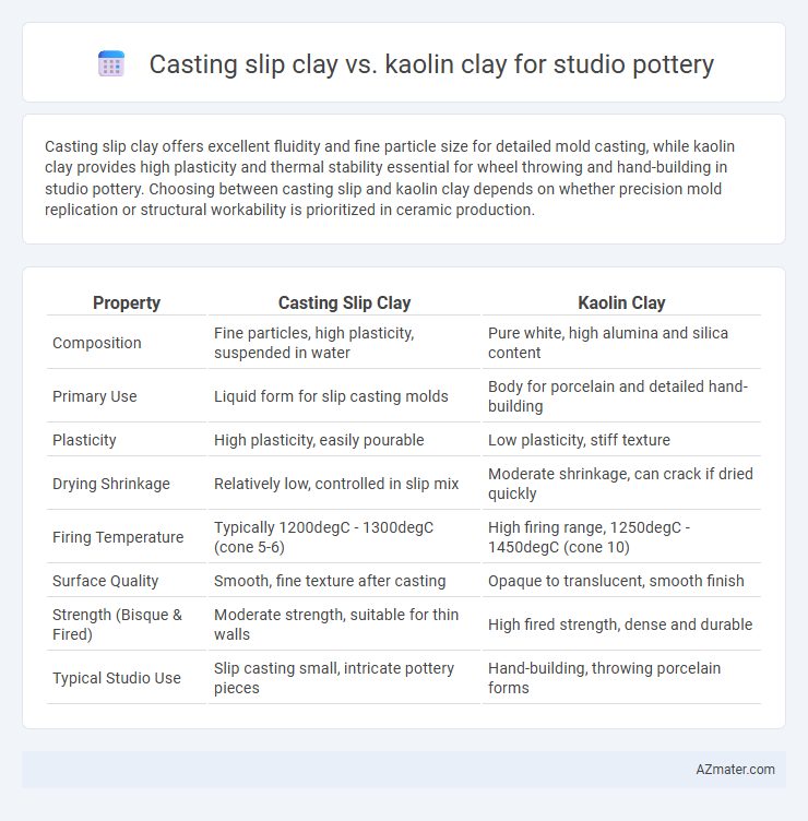 Casting slip clay vs. kaolin clay for studio pottery - What is The Difference?