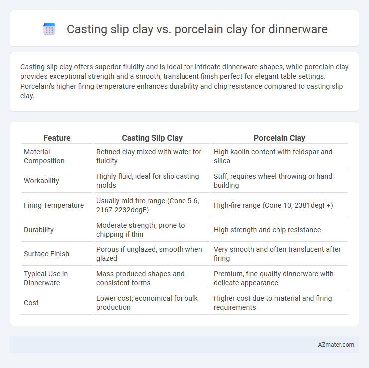 Casting slip clay vs. porcelain clay for dinnerware - What is The Difference?