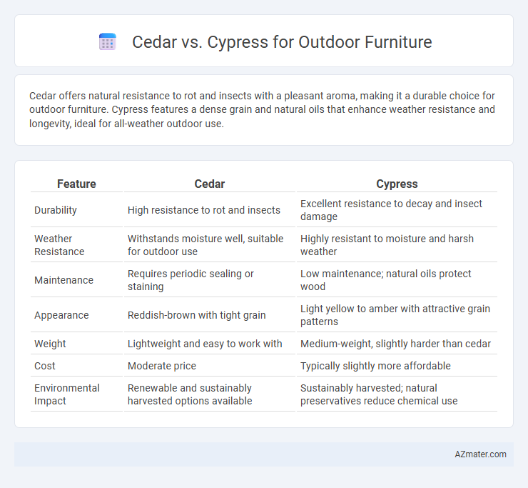 Cedar vs. Cypress for Outdoor Furniture - What is The Difference?