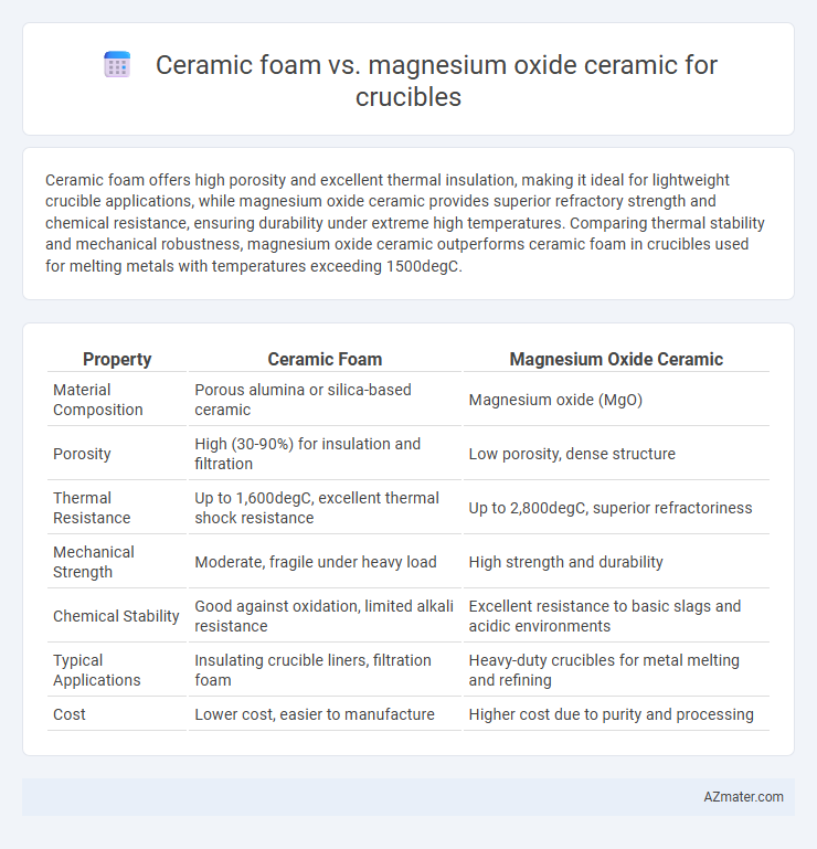 Ceramic foam vs. magnesium oxide ceramic for crucibles - What is The Difference?