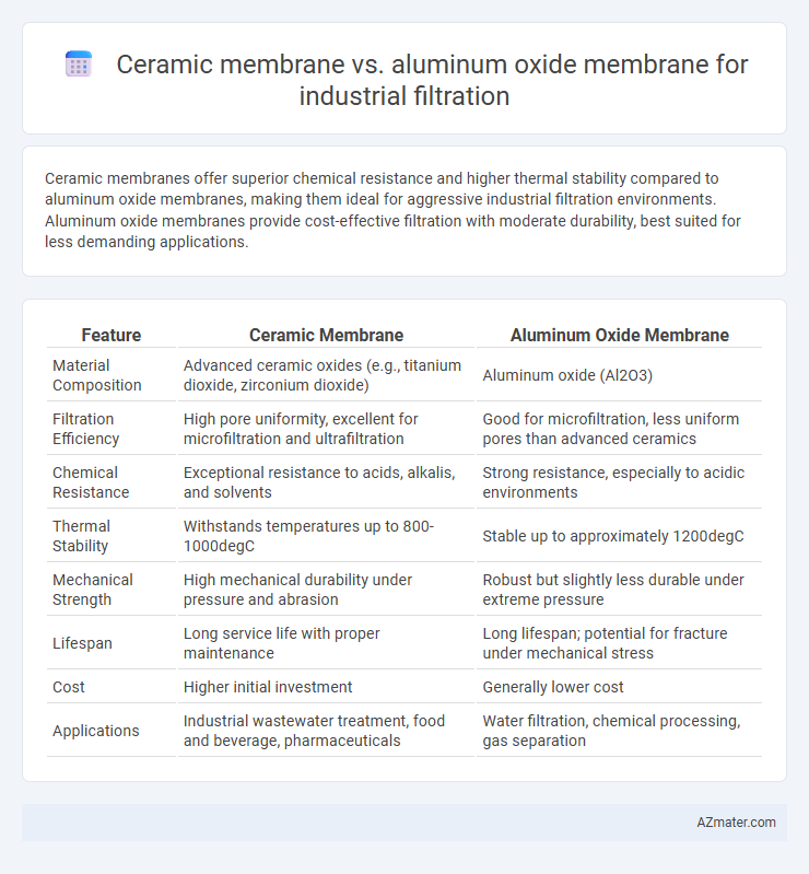 Ceramic membrane vs. aluminum oxide membrane for industrial filtration - What is The Difference?