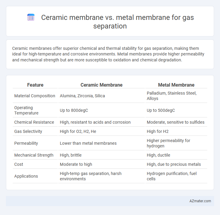 Ceramic membrane vs. metal membrane for gas separation - What is The Difference?