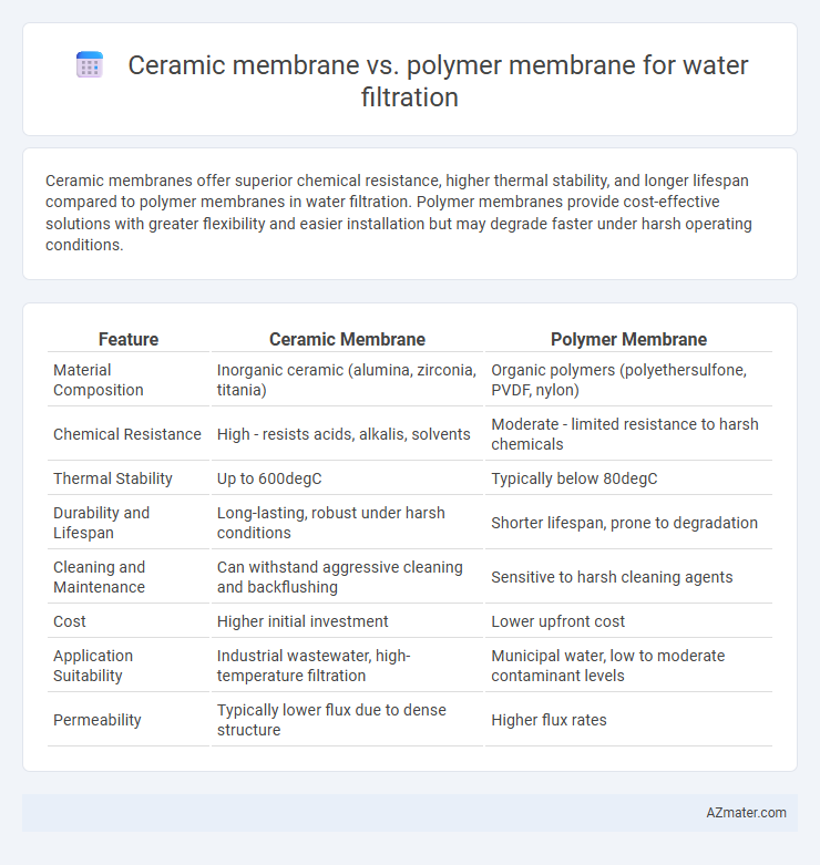 Ceramic membrane vs. polymer membrane for water filtration - What is The Difference?