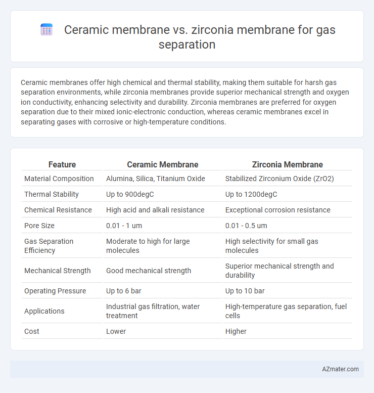 Ceramic membrane vs. zirconia membrane for gas separation - What is The Difference?