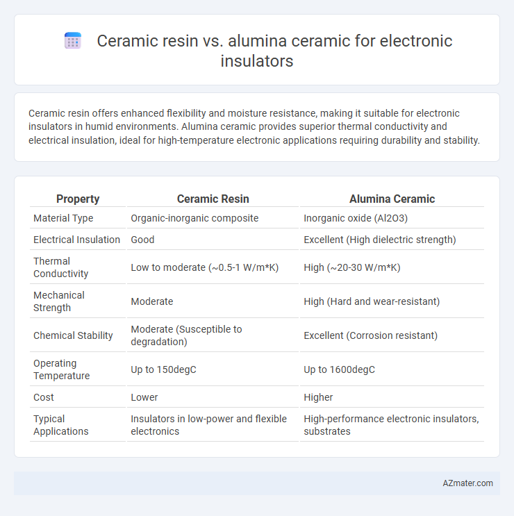 Ceramic resin vs. alumina ceramic for electronic insulators - What is The Difference?