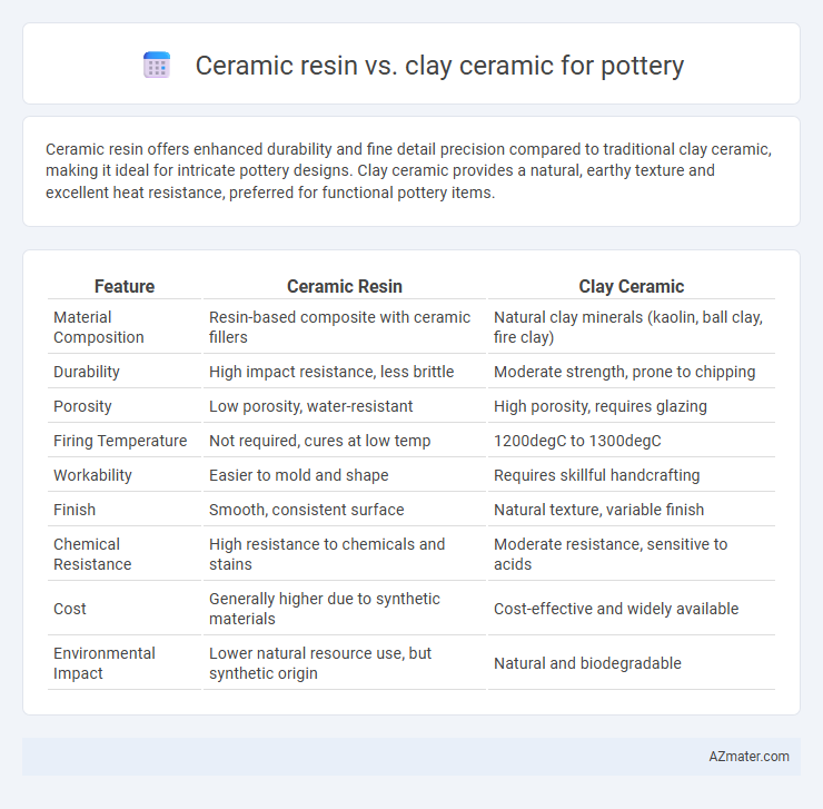 Ceramic resin vs. clay ceramic for pottery - What is The Difference?