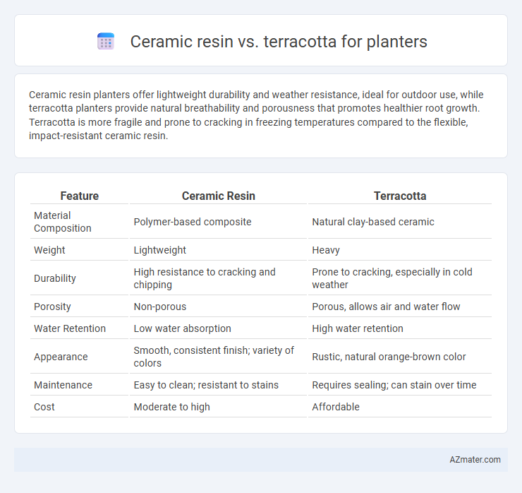 Ceramic resin vs. terracotta for planters - What is The Difference?